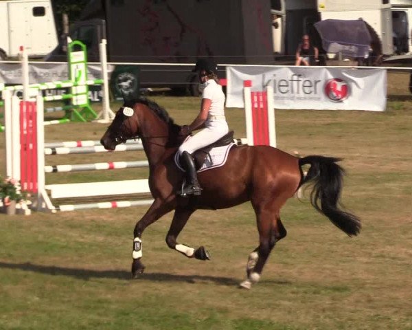 Reitturnier Kellinghusen 2020