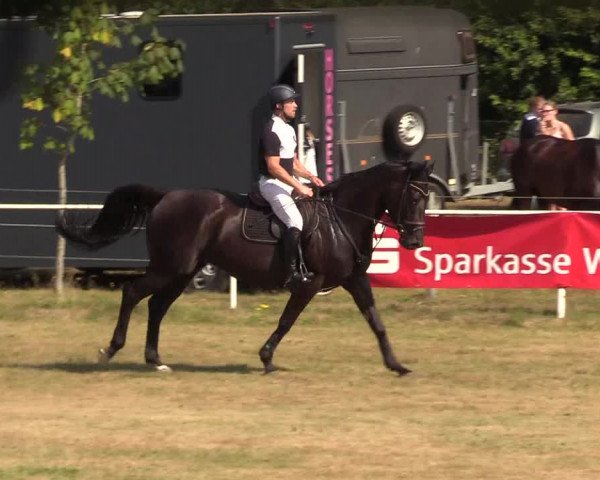 Reitturnier Kellinghusen 2020
