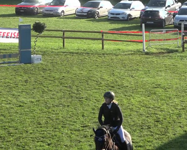 Reitturnier Aadorf 2020