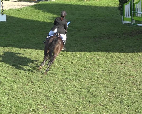 Reitturnier Aadorf 2020