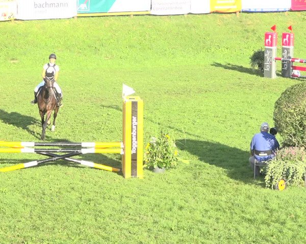 Reitturnier Aadorf 2020