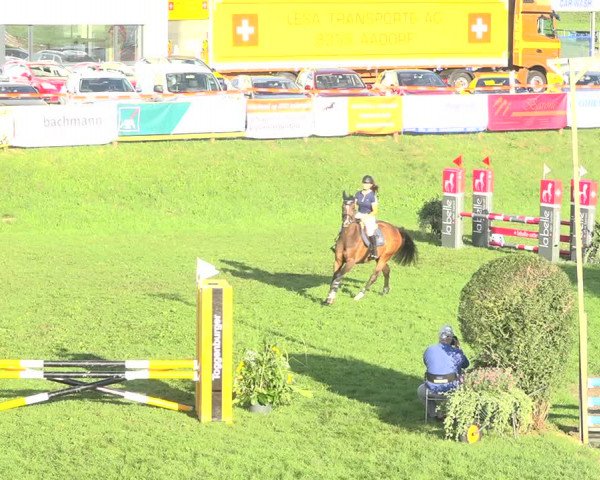 Reitturnier Aadorf 2020