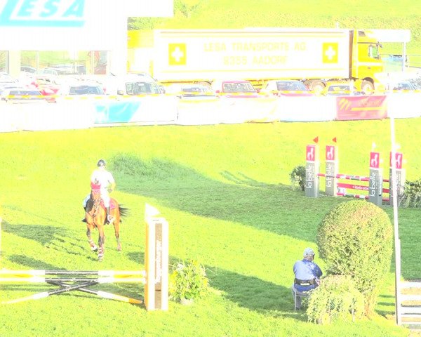 Reitturnier Aadorf 2020