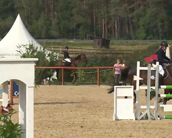 Reitturnier Boxbrunn/Mrf. 2020