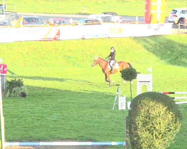 Reitturnier Aadorf 2020