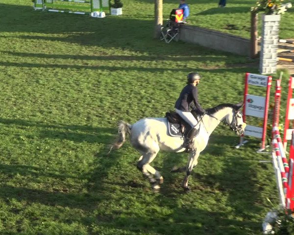 Reitturnier Aadorf 2020