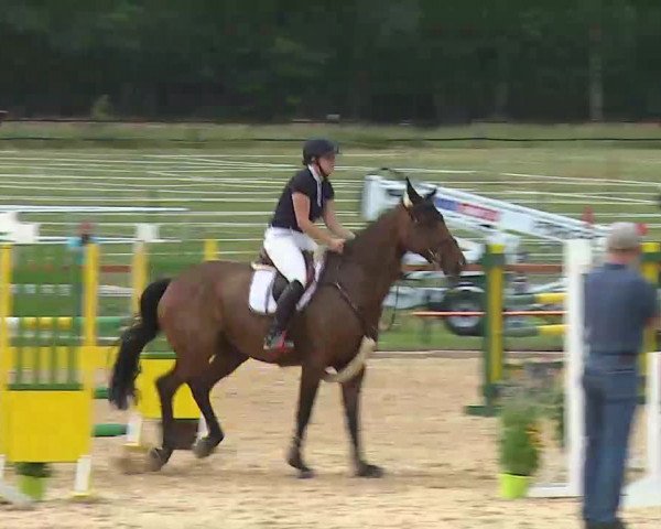 Reitturnier Boxbrunn/Mrf. 2020