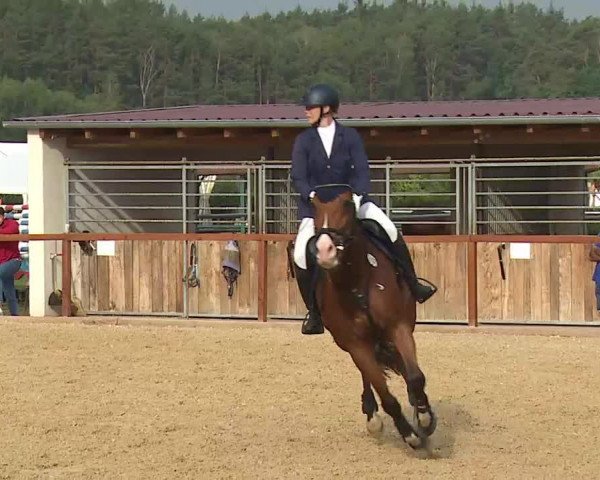 Reitturnier Boxbrunn/Mrf. 2020