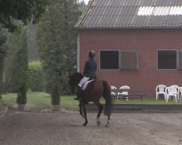 Reitturnier Datteln 2020