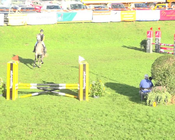 Reitturnier Aadorf 2020