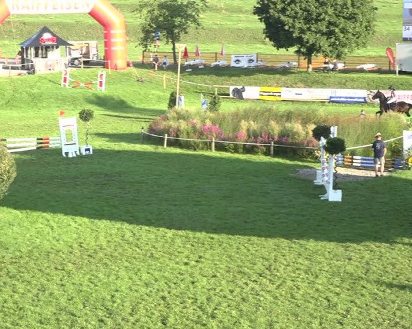 Reitturnier Aadorf 2020