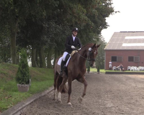 Reitturnier Datteln 2020