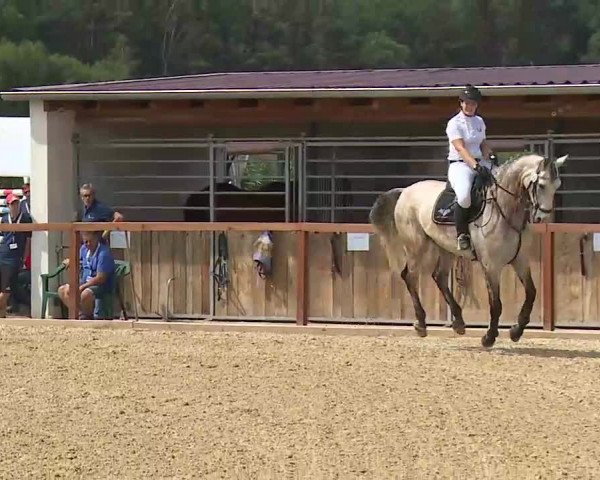 Reitturnier Boxbrunn/Mrf. 2020