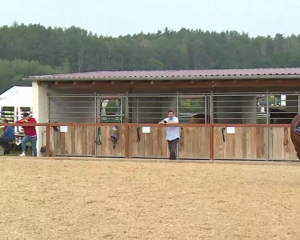 Reitturnier Boxbrunn/Mrf. 2020