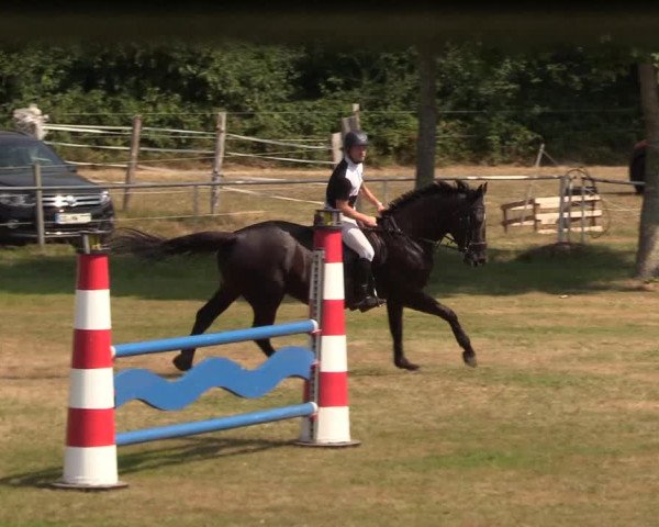 Reitturnier Kellinghusen 2020