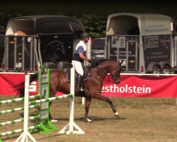 Reitturnier Kellinghusen 2020