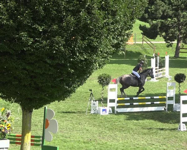 Reitturnier Aadorf 2020