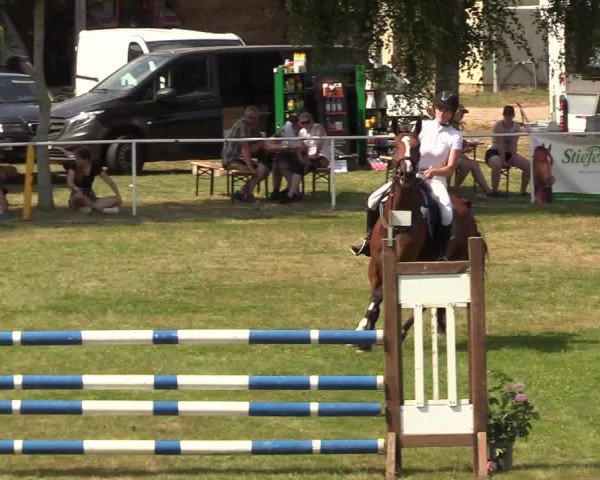 Reitturnier Kellinghusen 2020