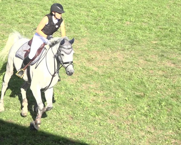 Reitturnier Aadorf 2020