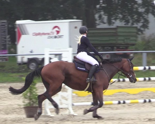 Reitturnier Datteln 2020