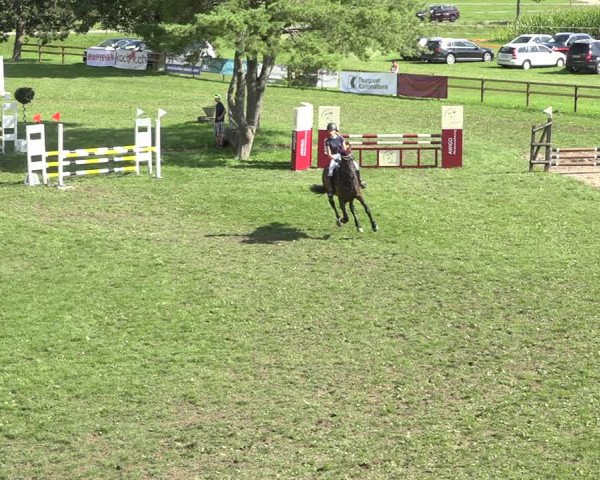 Reitturnier Aadorf 2020