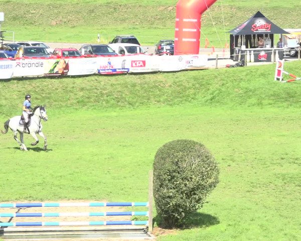 Reitturnier Aadorf 2020