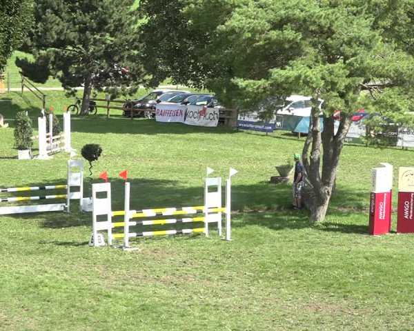 Reitturnier Aadorf 2020