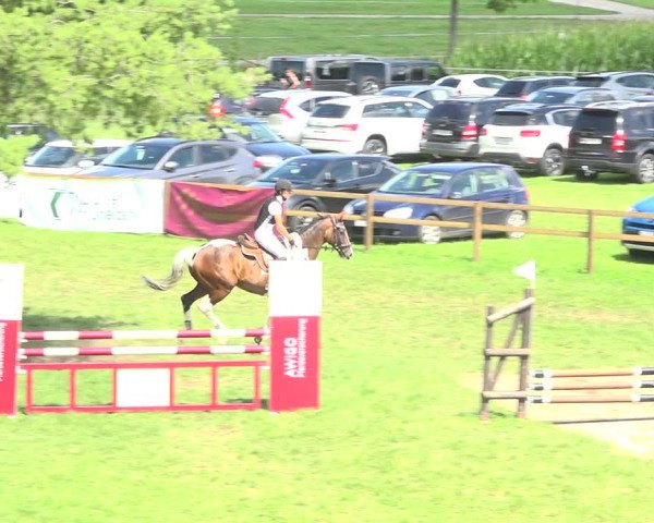 Reitturnier Aadorf 2020