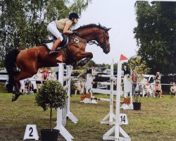 jumper Luminus 4 (Hanoverian, 2008, from Lordanos)