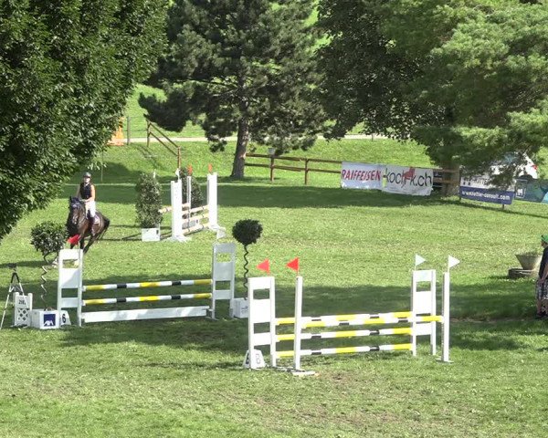 Reitturnier Aadorf 2020
