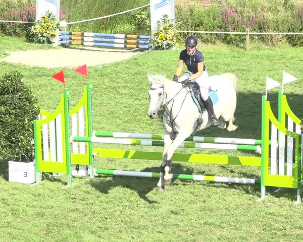 Reitturnier Aadorf 2020