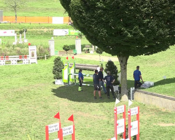 Reitturnier Aadorf 2020