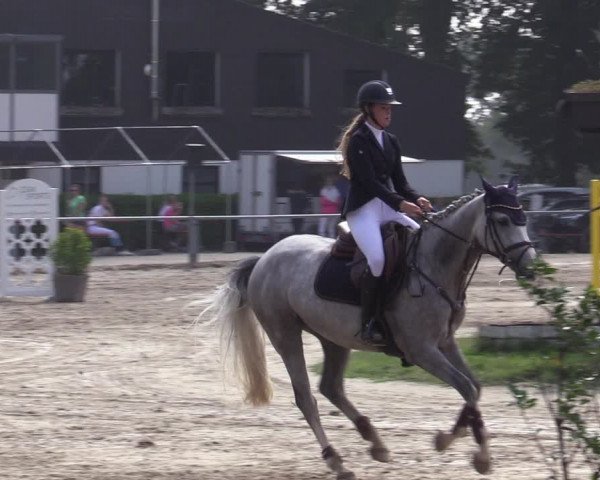 Reitturnier Datteln 2020