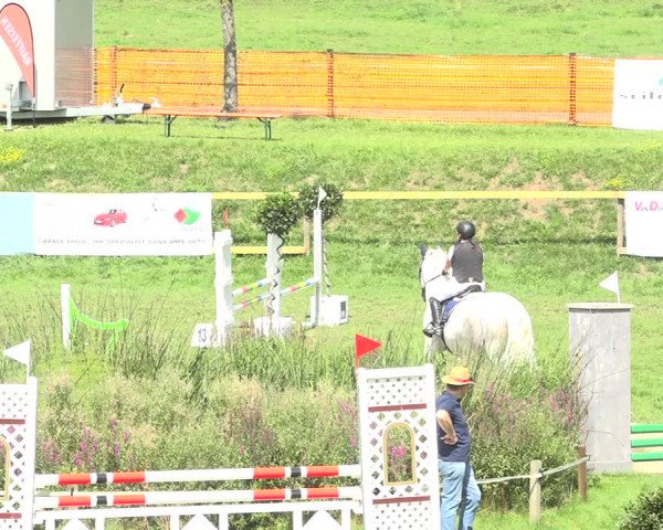 Reitturnier Aadorf 2020