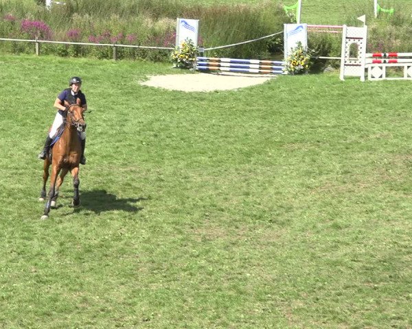 Reitturnier Aadorf 2020