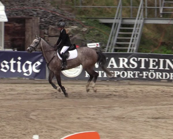 Reitturnier Siegen 2020