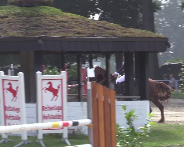 Reitturnier Datteln 2020