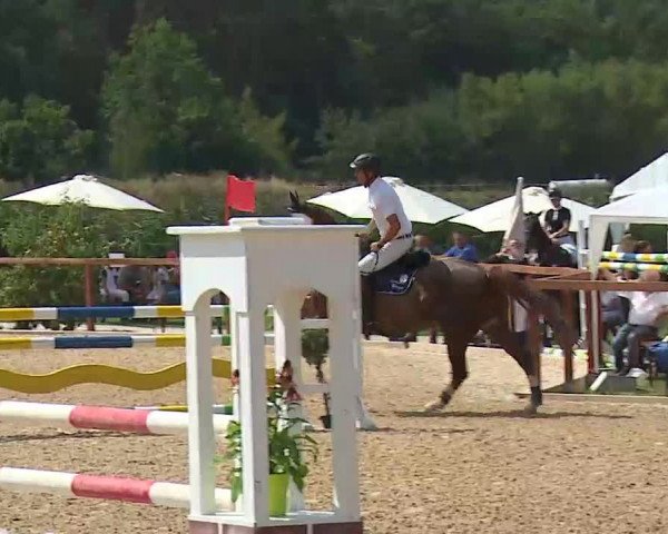 Reitturnier Boxbrunn/Mrf. 2020