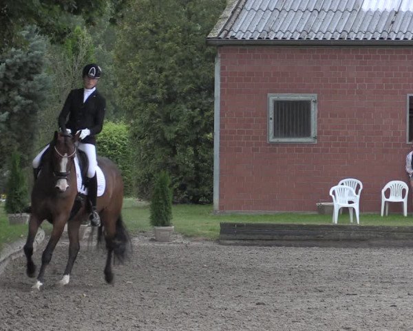 Reitturnier Datteln 2020