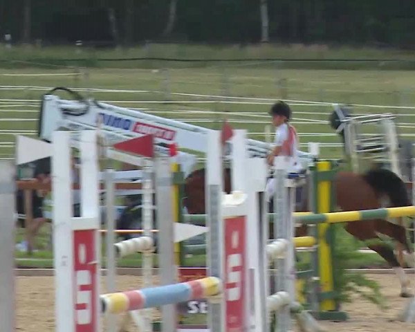 Reitturnier Boxbrunn/Mrf. 2020