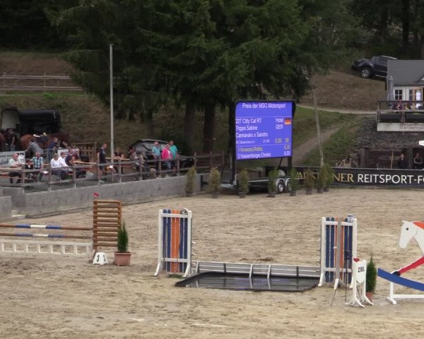 Reitturnier Siegen 2020