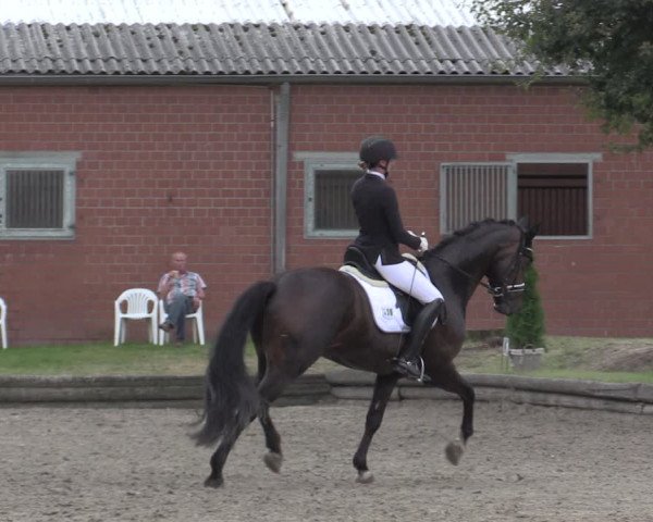 Reitturnier Datteln 2020