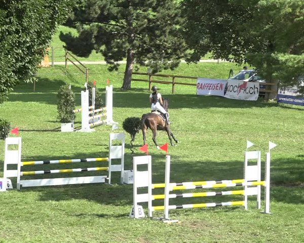 Reitturnier Aadorf 2020