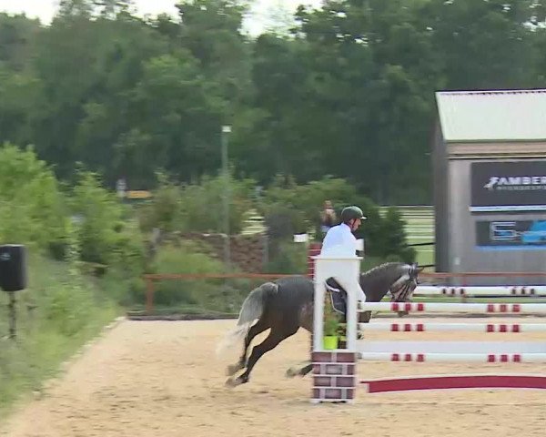 Reitturnier Boxbrunn/Mrf. 2020