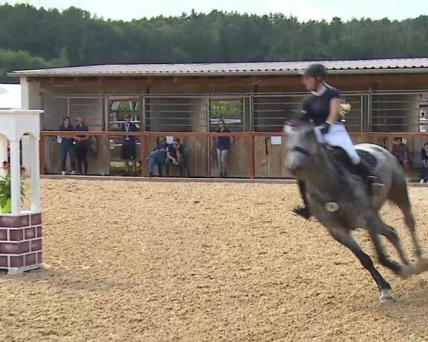 Reitturnier Boxbrunn/Mrf. 2020
