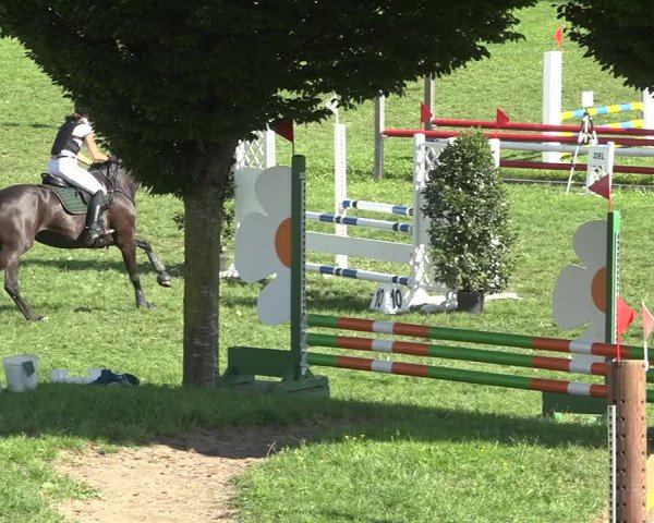 Reitturnier Aadorf 2020
