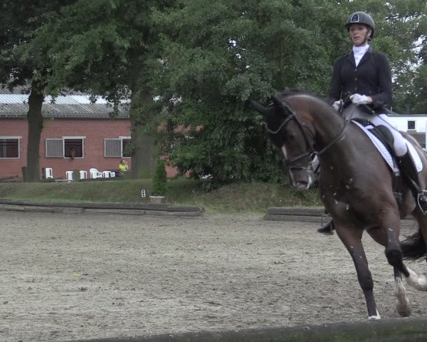 Reitturnier Datteln 2020