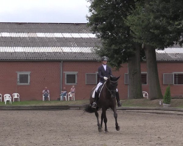 Reitturnier Datteln 2020