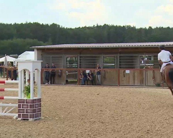 Reitturnier Boxbrunn/Mrf. 2020