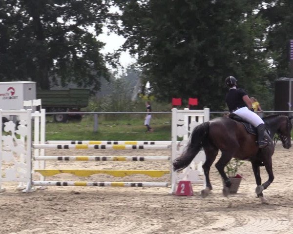 Reitturnier Datteln 2020